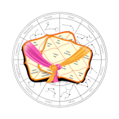 best astrologer in India