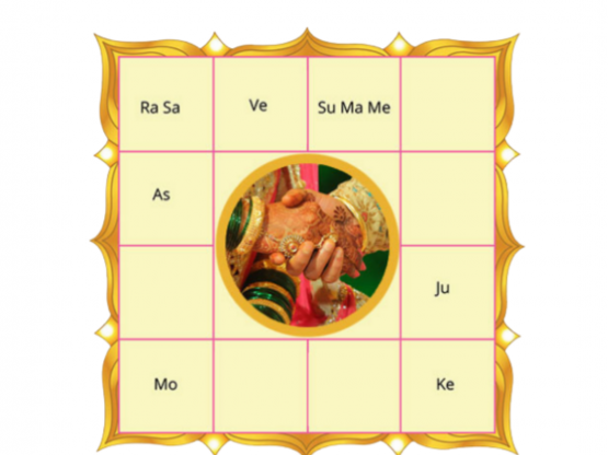 vedic astrologer in India Indore