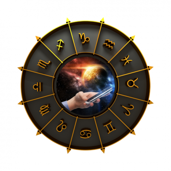 vedic astrologer in India